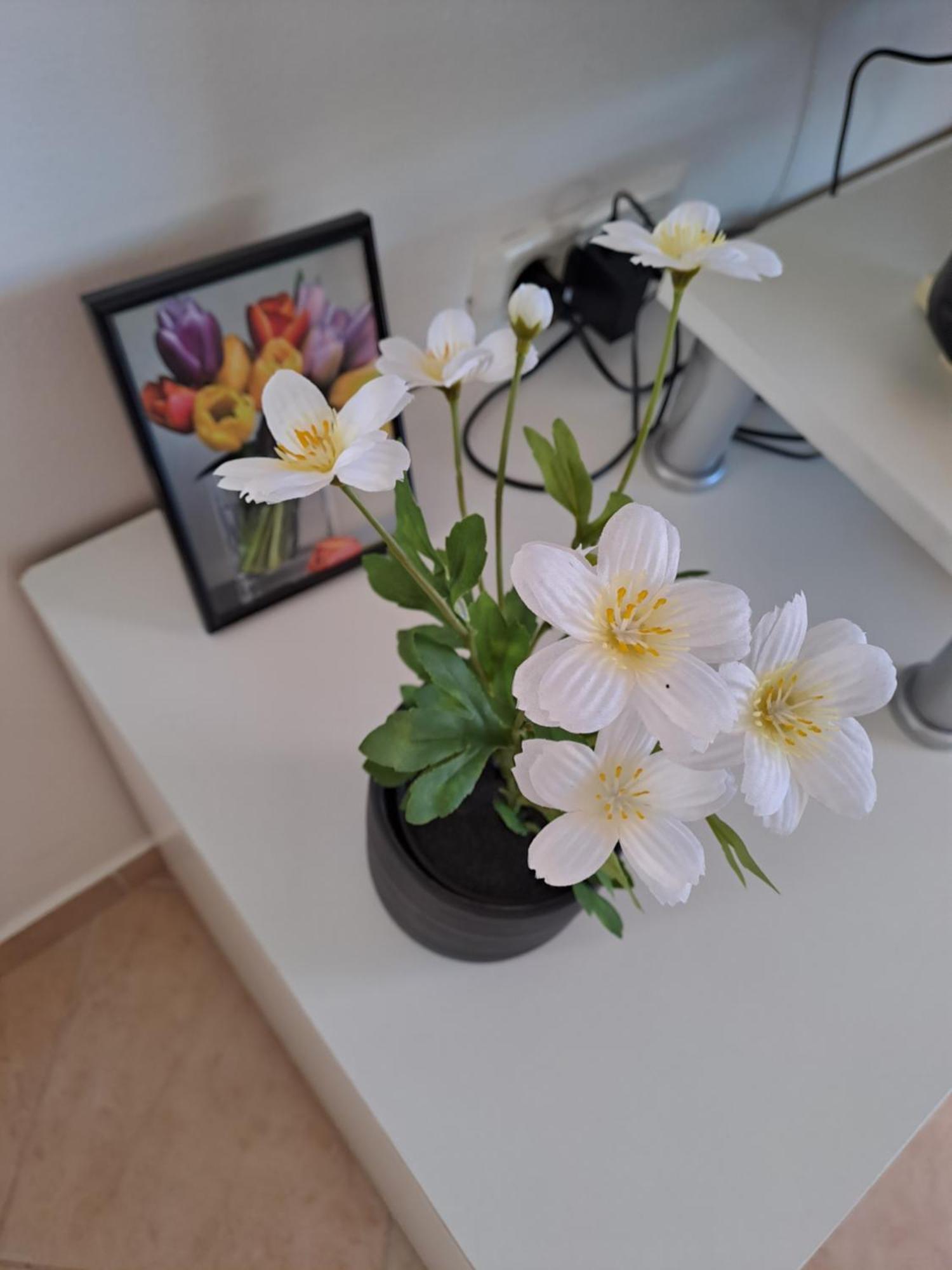 Apartman Valbandon Fažana Екстериор снимка